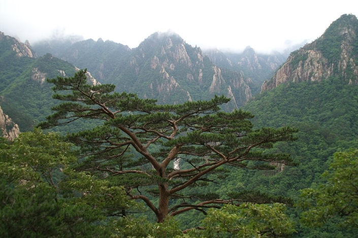 Sokcho e Parco Nazionale di Seoraksan